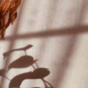 ヒメ日記 2025/12/15 23:31 投稿 みずき 奥様電車