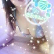 ヒメ日記 2024/12/28 13:03 投稿 つばき モアグループ熊谷人妻花壇