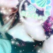 ヒメ日記 2025/02/03 13:03 投稿 つばき モアグループ熊谷人妻花壇