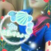 ヒメ日記 2025/04/01 12:03 投稿 つばき モアグループ熊谷人妻花壇