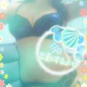 ヒメ日記 2025/04/08 10:03 投稿 つばき モアグループ熊谷人妻花壇