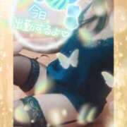 ヒメ日記 2025/04/29 14:06 投稿 つばき モアグループ熊谷人妻花壇