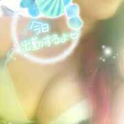 ヒメ日記 2025/05/11 13:46 投稿 つばき モアグループ熊谷人妻花壇