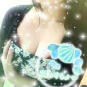 ヒメ日記 2025/06/11 12:31 投稿 つばき モアグループ熊谷人妻花壇