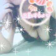 ヒメ日記 2025/06/15 10:31 投稿 つばき モアグループ熊谷人妻花壇