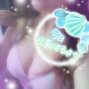 ヒメ日記 2025/08/09 11:31 投稿 つばき モアグループ熊谷人妻花壇