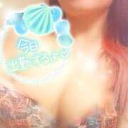 ヒメ日記 2025/08/23 13:01 投稿 つばき モアグループ熊谷人妻花壇