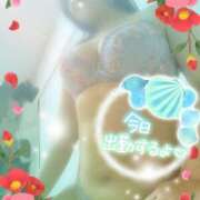 ヒメ日記 2025/08/24 10:01 投稿 つばき モアグループ熊谷人妻花壇