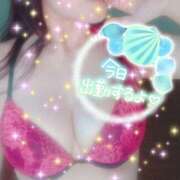 ヒメ日記 2025/09/24 13:01 投稿 つばき モアグループ熊谷人妻花壇