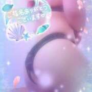 ヒメ日記 2025/09/26 00:18 投稿 つばき モアグループ熊谷人妻花壇