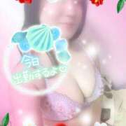 ヒメ日記 2025/10/21 14:21 投稿 つばき モアグループ熊谷人妻花壇