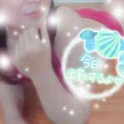 ヒメ日記 2025/10/26 14:01 投稿 つばき モアグループ熊谷人妻花壇