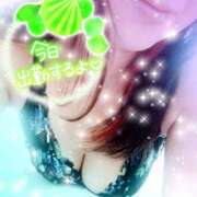 ヒメ日記 2025/10/30 12:03 投稿 つばき モアグループ熊谷人妻花壇