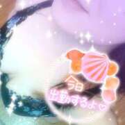 ヒメ日記 2025/11/27 16:04 投稿 つばき モアグループ熊谷人妻花壇