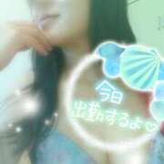 ヒメ日記 2025/11/28 14:17 投稿 つばき モアグループ熊谷人妻花壇