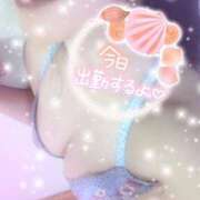 ヒメ日記 2026/01/22 14:11 投稿 つばき モアグループ熊谷人妻花壇