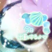 ヒメ日記 2026/01/25 14:08 投稿 つばき モアグループ熊谷人妻花壇