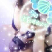 ヒメ日記 2026/02/25 13:59 投稿 つばき モアグループ熊谷人妻花壇