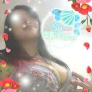 ヒメ日記 2026/03/16 11:59 投稿 つばき モアグループ熊谷人妻花壇