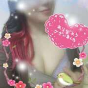 ヒメ日記 2026/03/16 19:01 投稿 つばき モアグループ熊谷人妻花壇