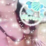 ヒメ日記 2026/10/06 13:36 投稿 つばき モアグループ熊谷人妻花壇