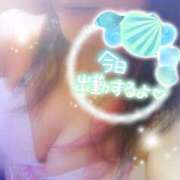 ヒメ日記 2026/10/08 13:46 投稿 つばき モアグループ熊谷人妻花壇