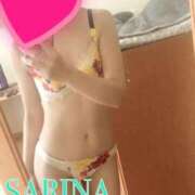 ヒメ日記 2024/12/16 15:58 投稿 さりな 沼津人妻花壇