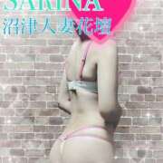 ヒメ日記 2024/12/25 13:03 投稿 さりな 沼津人妻花壇