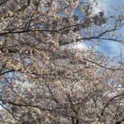 ヒメ日記 2025/04/08 23:25 投稿 れみ BLACK LABEL R's