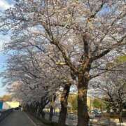 ヒメ日記 2025/05/09 14:02 投稿 れみ BLACK LABEL R's