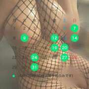 ヒメ日記 2025/11/20 17:02 投稿 ハニー ティアラ