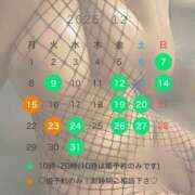 ハニー 変更しました！ ティアラ