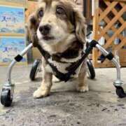 ヒメ日記 2025/01/06 18:36 投稿 のあ☆逢えば分かる気持ちよさ☆ PREMIUM～プレミアム～