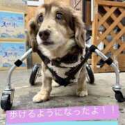 ヒメ日記 2025/01/06 18:56 投稿 のあ☆逢えば分かる気持ちよさ☆ PREMIUM～プレミアム～