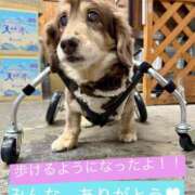 ヒメ日記 2025/01/06 18:46 投稿 のあ☆逢えば分かる気持ちよさ☆ PREMIUM～プレミアム～