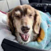 ヒメ日記 2025/01/16 15:26 投稿 のあ☆逢えば分かる気持ちよさ☆ PREMIUM～プレミアム～