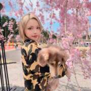 ヒメ日記 2025/04/12 22:26 投稿 のあ☆逢えば分かる気持ちよさ☆ PREMIUM～プレミアム～