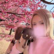 ヒメ日記 2026/01/26 22:36 投稿 のあ☆逢えば分かる気持ちよさ☆ PREMIUM～プレミアム～