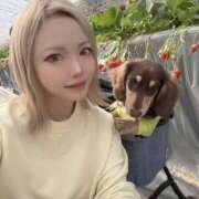 ヒメ日記 2026/03/10 18:36 投稿 のあ☆逢えば分かる気持ちよさ☆ PREMIUM～プレミアム～