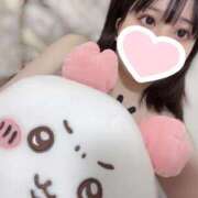 ヒメ日記 2025/02/23 13:15 投稿 ひのあ ホワイトハウス