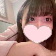 ヒメ日記 2025/02/28 10:01 投稿 ひのあ ホワイトハウス