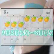 ヒメ日記 2026/08/29 23:37 投稿 こころ～M性感～ アメイジングビル～道後最大級！遊び方無限大∞ヘルス♪～