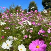 ヒメ日記 2024/12/13 18:04 投稿 小倉しおん やみつきエステ錦糸町店