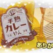 ヒメ日記 2026/02/20 22:01 投稿 Natsuki Amamiya ELEGANT－エレガント－