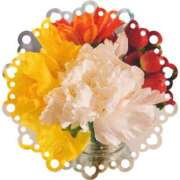 Natsuki Amamiya 復帰後初日、、 ELEGANT－エレガント－