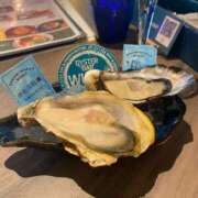 Natsuki Amamiya Oyster✨✨ ELEGANT－エレガント－
