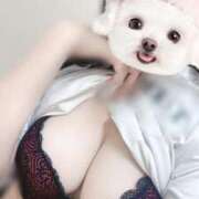 めろ めろです♡ リアル難波店