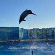 ヒメ日記 2024/12/15 11:55 投稿 ちひろ ごほうびSPA広島店