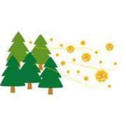 ヒメ日記 2025/03/22 22:30 投稿 みいな 風俗の神様　浜松店