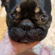 あいみ♦極上PREMIUM ひよりちゃん🫧🧡 Blue Moon